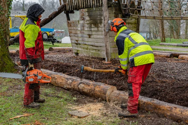 Los madereros cortan tronco de árbol con sierras de cadena en días lluviosos . — Foto de Stock