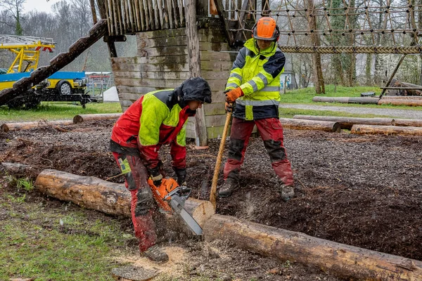 Los madereros cortan tronco de árbol con sierras de cadena en días lluviosos . — Foto de Stock