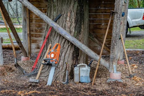 Outils pour bûcheron, abatteuse et bûcheron tels que hache, pelle et levier d'abattage s'appuient sur un arbre pendant les jours de pluie . — Photo
