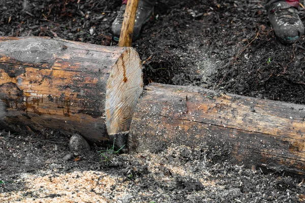 Body part of a logger with felling lever standing near tree trunk cut with chain saw on a playground in rainy day. — Stock Photo, Image