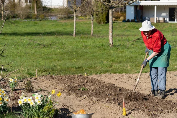 春天，园艺师在新鲜的土地上用园圃耙干活 — 图库照片