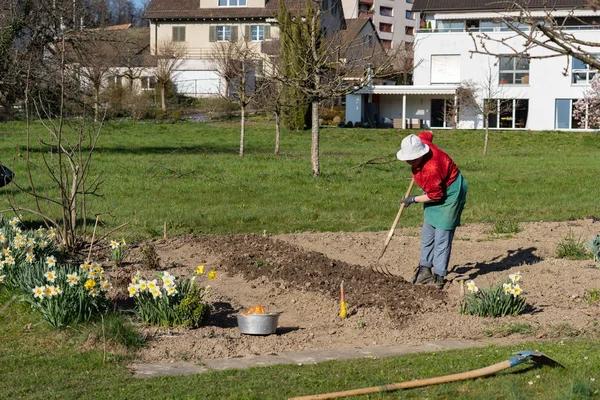 瑞士春天，一位戴着白帽的园艺师用绿色的草甸在地里耙土. — 图库照片