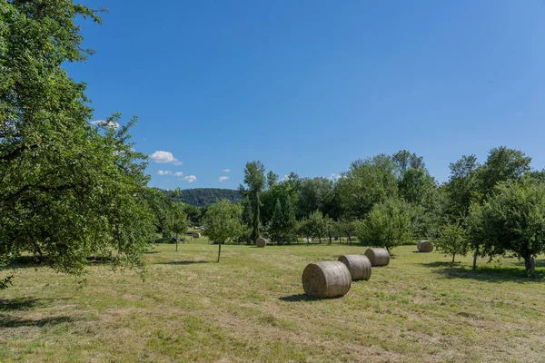 Hay bales in summer on big meadow with blue sky and white clouds.
