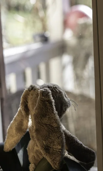 Easter bunny looks expectantly out of the window over the veranda into the garden. — Stockfoto