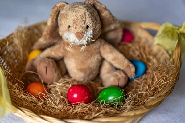 Stuffed easter bunny in hay basket and eggs. — Stockfoto