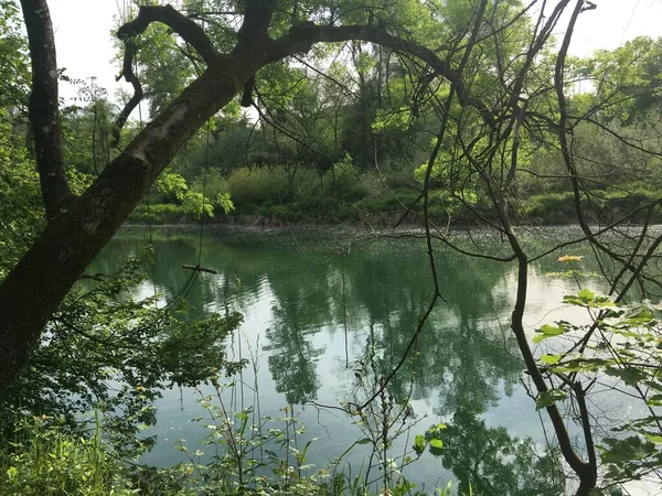 İsviçre 'nin Brugg kenti yakınlarındaki Aare' nin nehir ormanlarındaki adaya olan kanalına bakın..