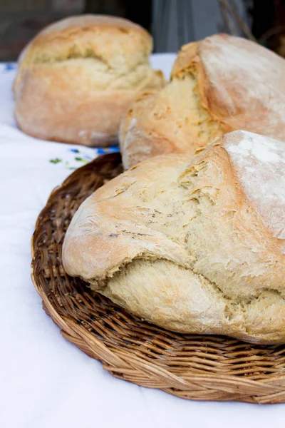 Vers brood op een korf — Stockfoto