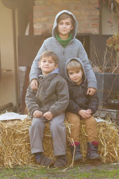 Three young brothers — Stock Photo, Image