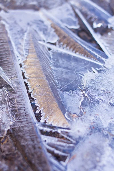 Ice crystals abstract — Stock Photo, Image