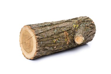 Beyaz arka plan, studio fotoğraf, acacias ağaç günlükleri