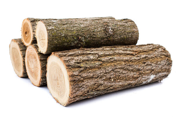 журналы на белом фоне, студийное фото, дерево акаций
