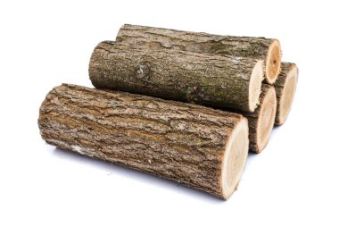 Beyaz arka plan, studio fotoğraf, acacias ağaç günlükleri