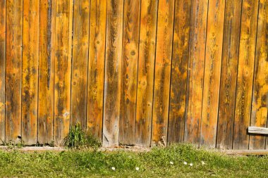 sarı ahşap çit ve çimenler