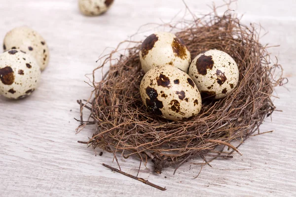 Kwarteleitjes Het Nest Oude Rustieke Houten Achtergrond — Stockfoto