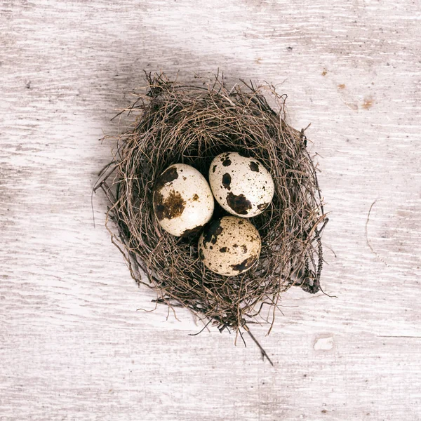 Quail Eggs Nest Old Rustic Wooden Background Top View — Stock Photo, Image