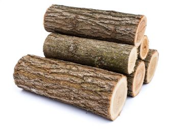 Beyaz arka plan, studio fotoğraf, acacias ağaç günlükleri