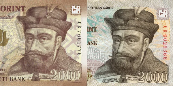 New and old Hungarian forint, 2000 — стоковое фото