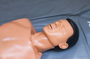 manken vücut parçası