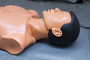 manken vücut parçası