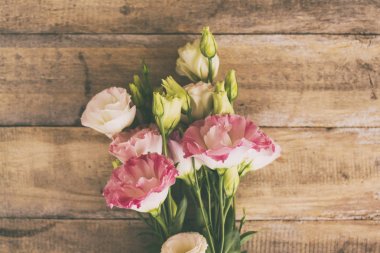 Pembe ve beyaz ranunculus çiçekleri