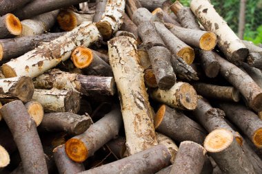 odun, odun fırını için Boyutlanmış ağaç, ağaç parçaları yığını
