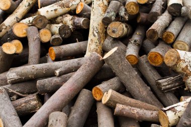 odun, odun fırını için Boyutlanmış ağaç, ağaç parçaları yığını