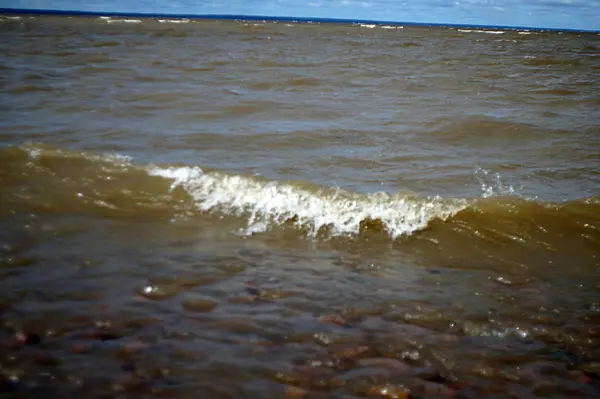 La costa báltica en verano — Foto de Stock