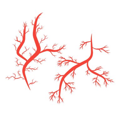 İnsan arterleri ve damarları vektör çizim şablonu
