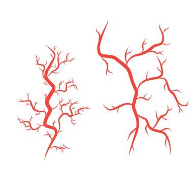 İnsan arterleri ve damarları vektör çizim şablonu