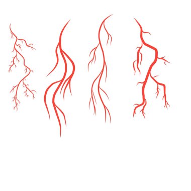 İnsan arterleri ve damarları vektör çizim şablonu
