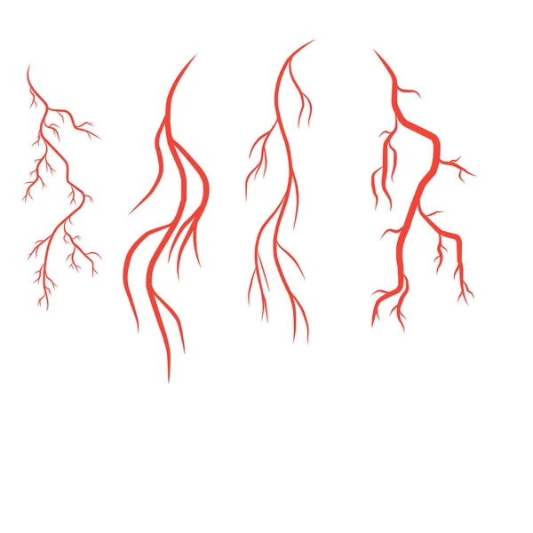 Nsan Arterleri Damarları Vektör Çizim Şablonu — Stok Vektör