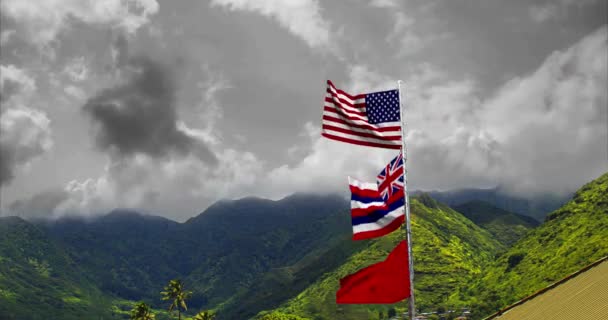 Hawai Honolulu Bandera Americana Bandera Las Verdes Colinas Hawaii Día — Vídeos de Stock