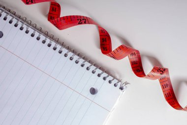 Kilo verme kavramına sahip yeni yıl çözümleri defteri