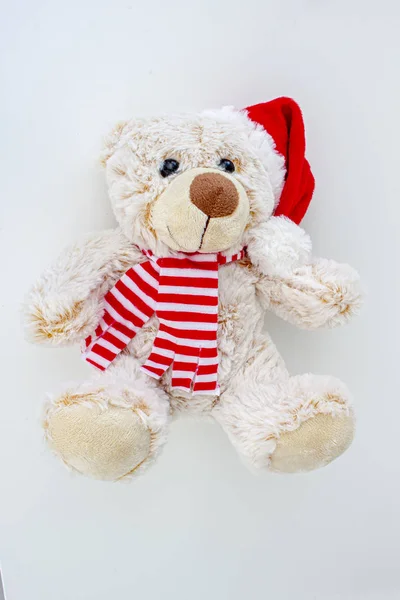 Vertical view of a light brown teddy bear with a santa hat — Stock Photo, Image