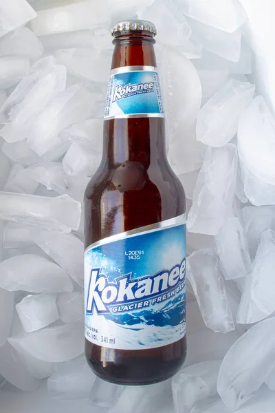 Egy üveg Kokanee sört jéggel. — Stock Fotó