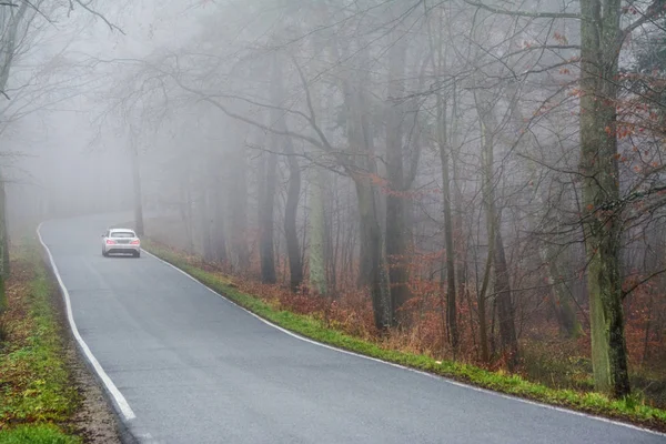 road in the woods, car in the fog