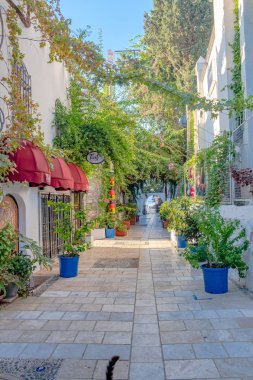 Bodrum Kasabası, Bodrum / Türkiye - 27 Eylül 2019: Bodrum 'da renkli sokak manzarası.