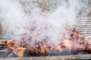 Izgara kuzu şiş kebap. Türk kebabı, Türkçe 