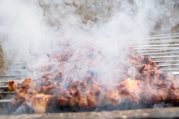 Gekookte Lamsbout Kebab Turkse Kebab Turks Bekend Als Mangal Kebab — Stockfoto