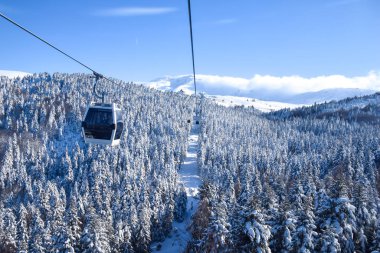 Uludağ Milli Parkı 'nda güneşli bir kış gününde, karla kaplı ağaçlar arasında teleferikle ulaşım