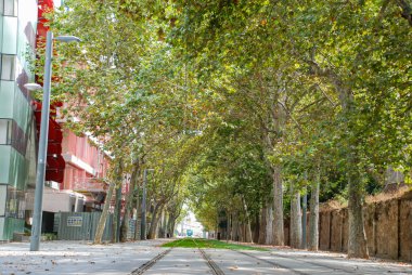 Barselona, İspanya-Eylül 2013: Sokak treni Barcelona.