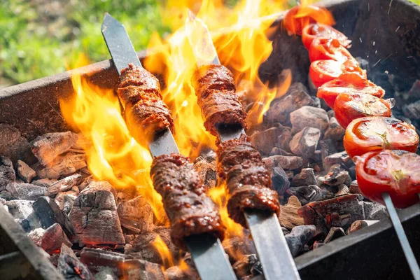 おいしい焼き肉とトマトのバーベキュー トルコのソーセージ自然界の動物に ピクニックだ — ストック写真