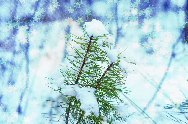 Beautiful Green Fir Tree Branch Snow Starry Shimmer Double Exposure — Stock Photo, Image