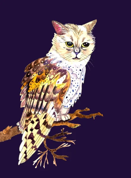 Söt Fantastisk Uggla Katt Varelse Hand Dras Akvarell Hybrid Isolerad — Stockfoto