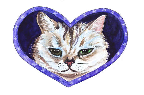 Симпатичный Шотландский Кот Сердце Вручную Нарисовал Акварель День Святого Валентина — стоковое фото