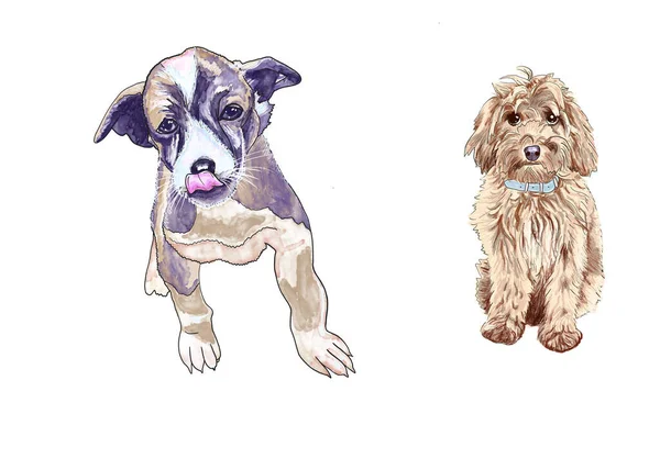 Divertidos Cachorros Dibujados Mano Sobre Fondo Blanco Aislados Para Diseño — Foto de Stock