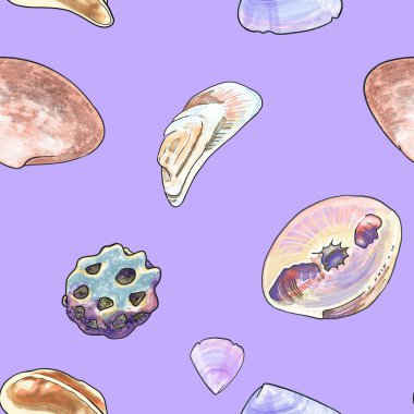 Çok güzel bir el çizilmiş, kusursuz bir desen, pastel mavi arka planda deniz kabukları var.