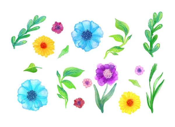 Eine Reihe Von Handgezeichneten Sommerblumen Isoliert Auf Weißem Hintergrund Niedlicher — Stockfoto