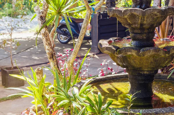 Peaceful tropical garden with a fountain in streaming sunshine.