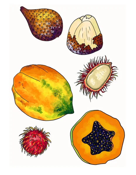 Egy Sor Trópusi Gyümölcs Papaya Rambutan Kígyógyümölcs Bali Bio Élelmiszer — Stock Fotó